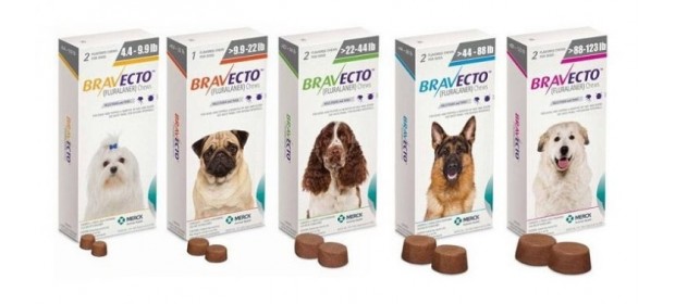 Противопаразитарные средства Bravecto (жевательные таблетки от блох и клещей) — отзывы