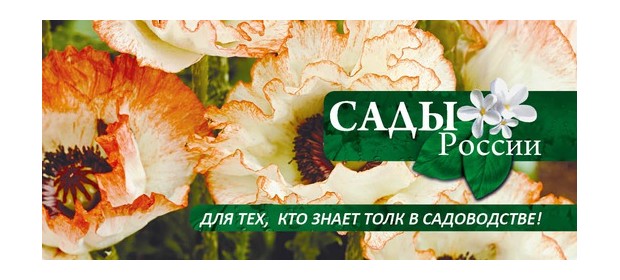 Интернет-магазин семян и саженцев Sad-i-ogorod.ru — отзывы