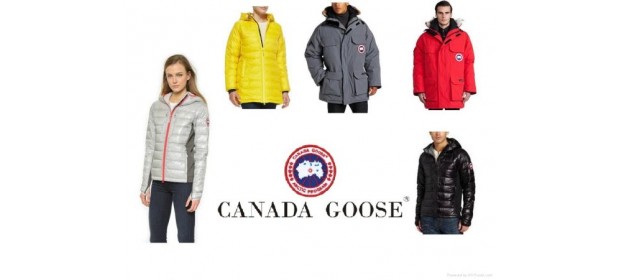 Куртки  Canada Goose — отзывы