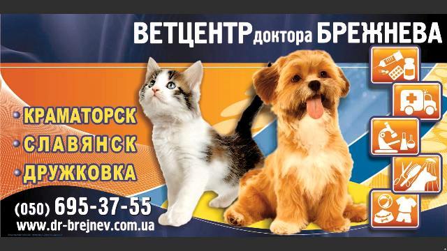 Ветеринарный центр Доктора Брежнева — отзывы