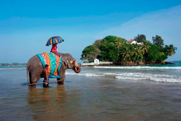 Шри-Ланка — отзывы туристов