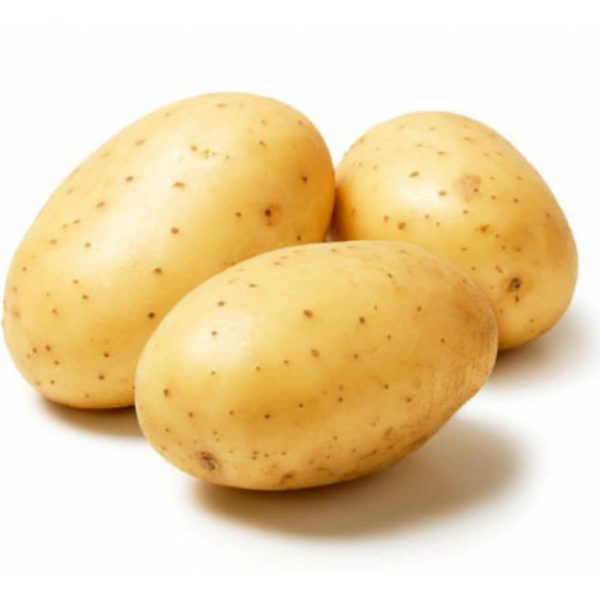 Сорт картофеля Метеор