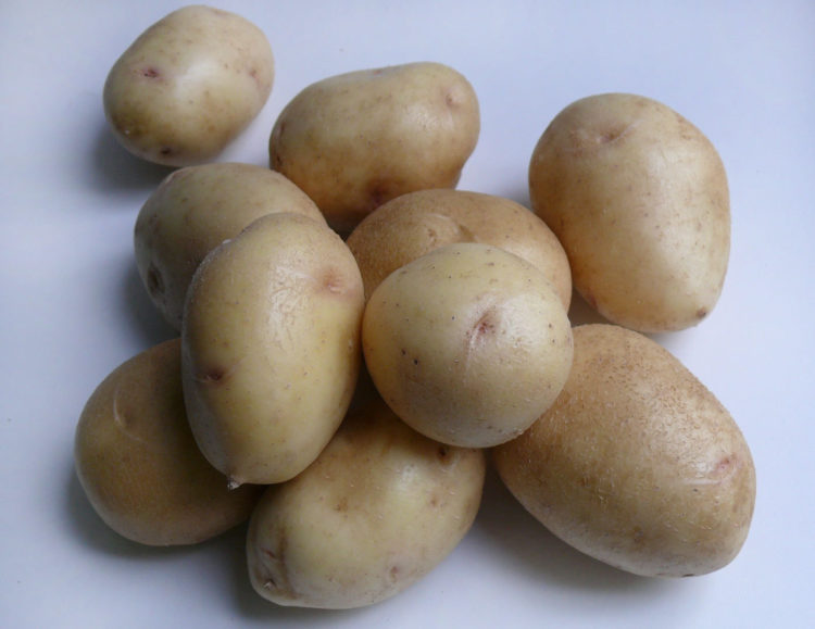 Сорт картофеля Невская