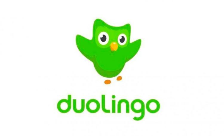 Приложение Duolingo учим языки