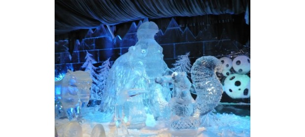 Выставка ледовых скульптур «Ледовый парк в кругу семьи» — отзывы