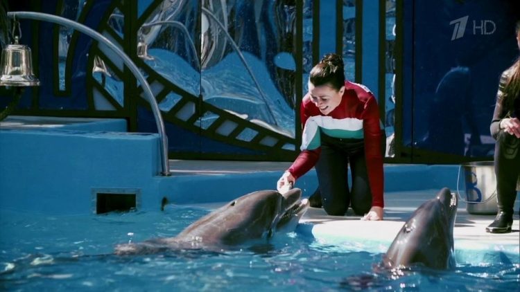 ТВ-передача «Вместе с дельфинами» — отзывы