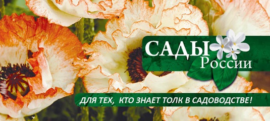 Интернет-магазин семян и саженцев Sad-i-ogorod.ru — отзывы