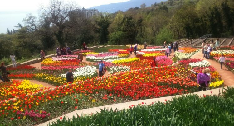 Выставка тюльпанов в Никитском Ботаническом саду — отзывы
